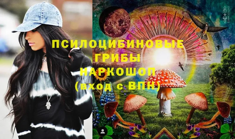 Галлюциногенные грибы Psilocybine cubensis Кировград